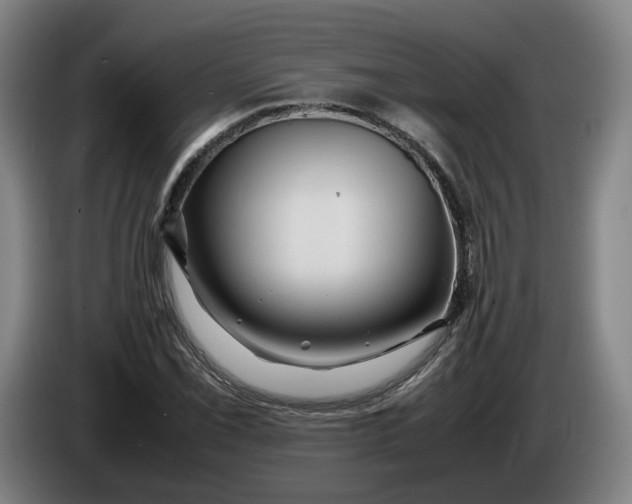 X0000086261069200704191859