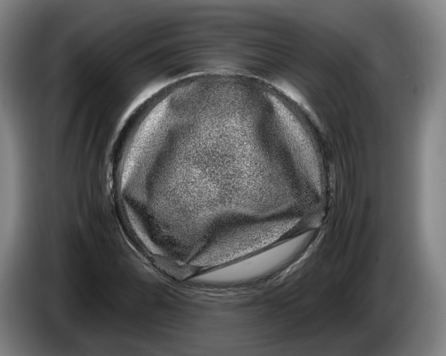 X0000086261070200704191859