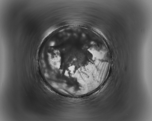 X0000086261071200704191859