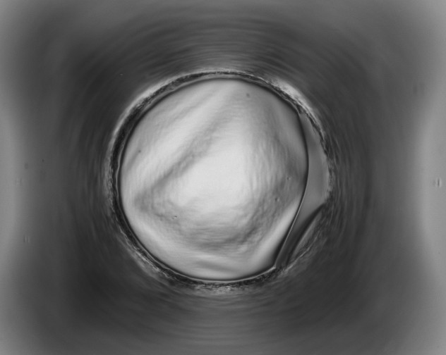 X0000086261072200704191859