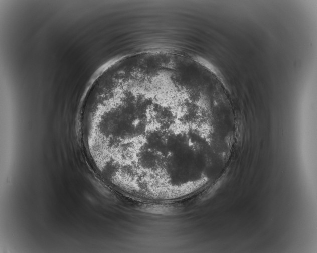 X0000086261074200704191859