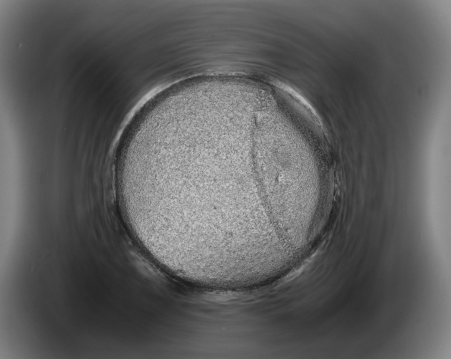 X0000086261075200704191859