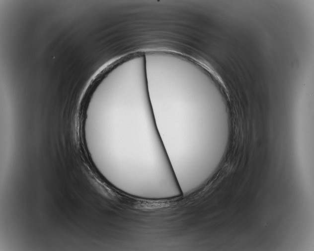 X0000086261076200704191859