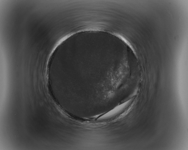 X0000086261077200704191859