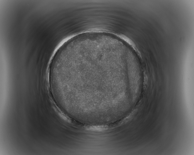 X0000086261078200704191859