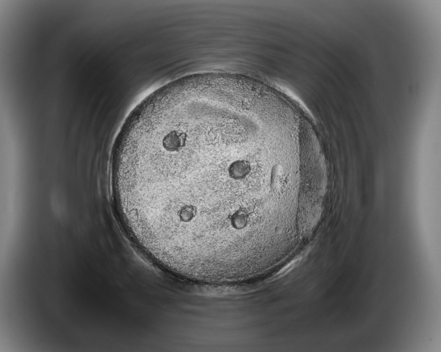 X0000086261079200704191859