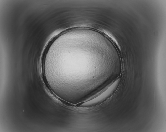 X0000086261080200704191858