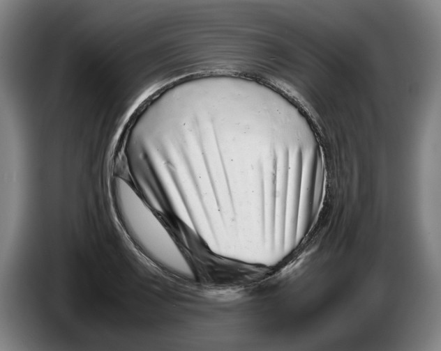 X0000086261083200704191858