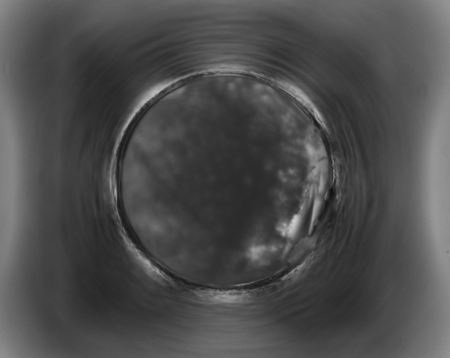 X0000086261084200704191858