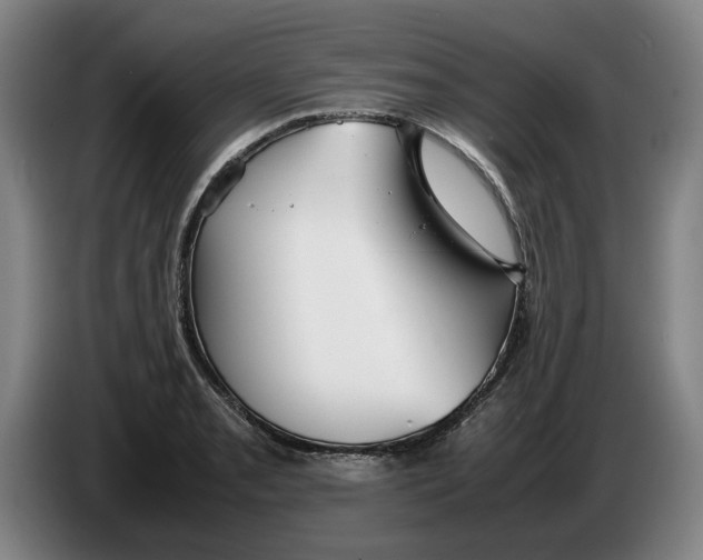 X0000086261085200704191858