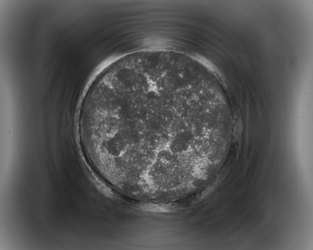 X0000086261086200704191858