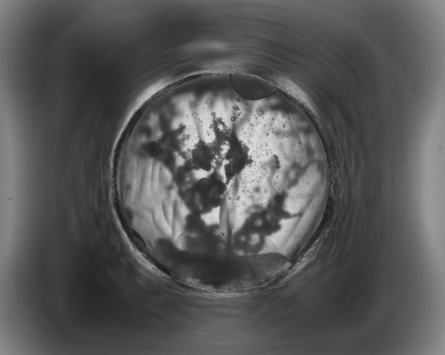 X0000086261087200704191858