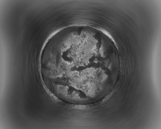 X0000086261088200704191858