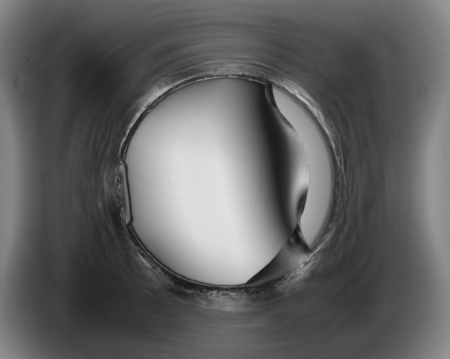 X0000086261089200704191858