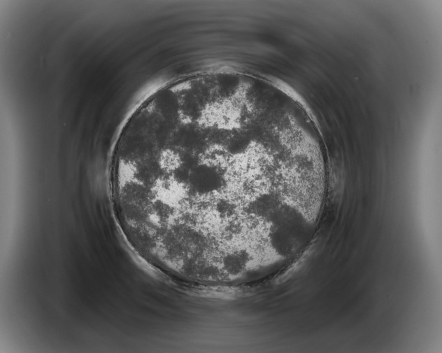 X0000086261090200704191858