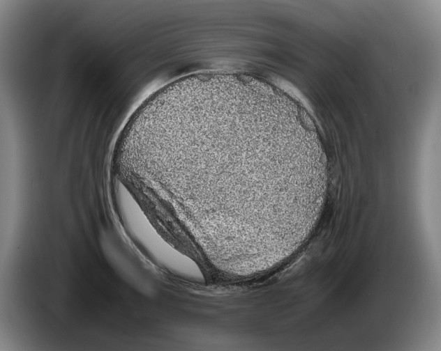 X0000086261091200704191858