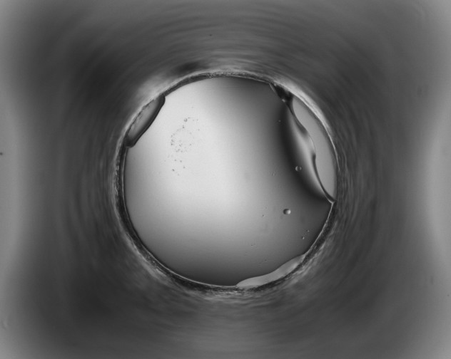 X0000086261093200704191858