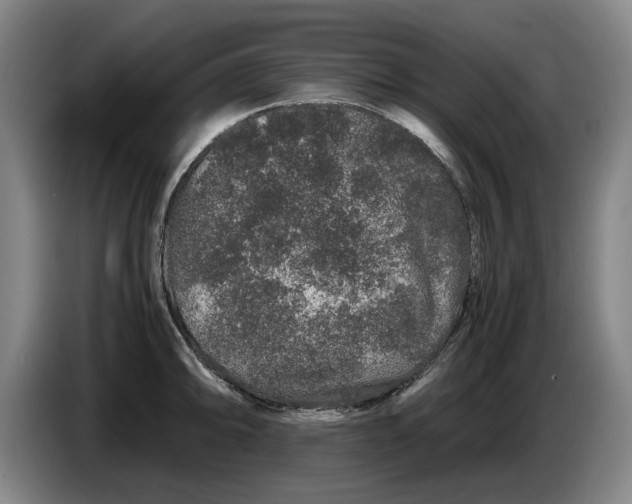 X0000086261094200704191858