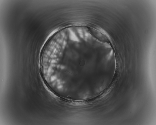 X0000086261095200704191858