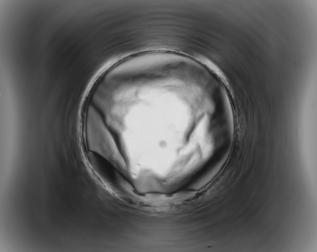 X0000086261096200704191858