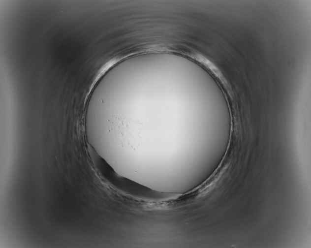 X0000086261097200704191858