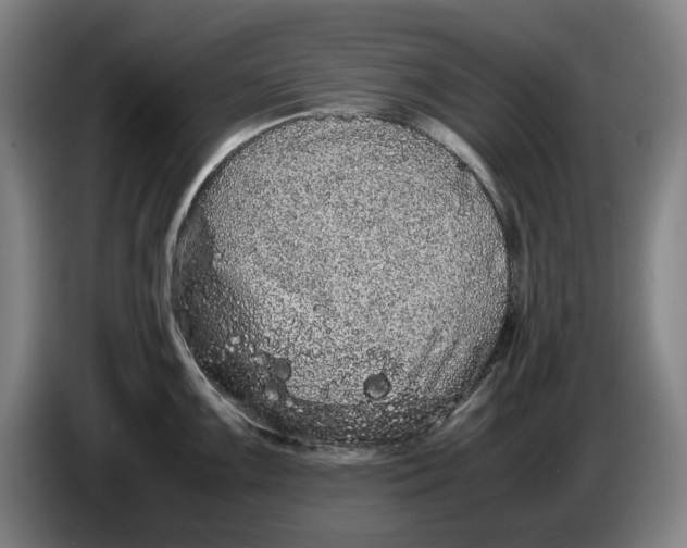 X0000086261099200704191858