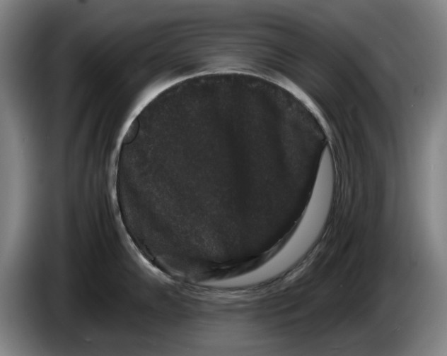 X0000086261102200704191858