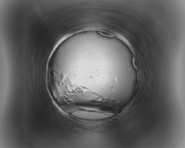X0000086261103200704191858