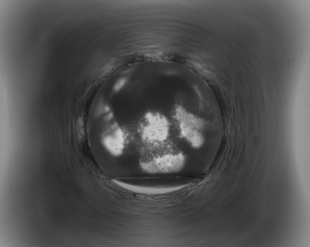 X0000086261106200704191858