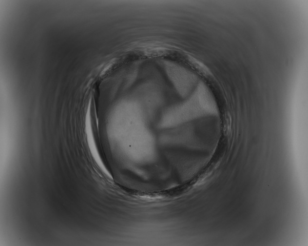 X0000086261108200704191858