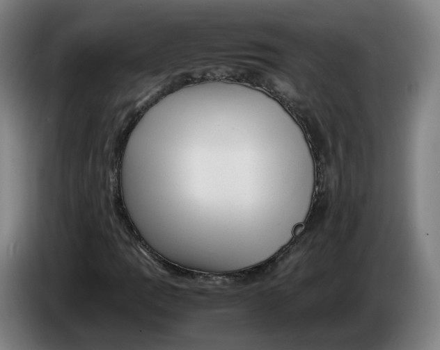 X0000086261109200704191858
