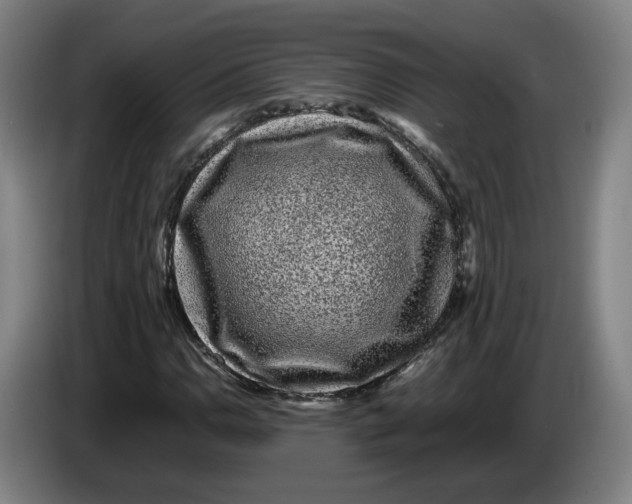 X0000086261110200704191858
