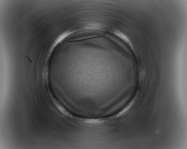 X0000086261114200704191858