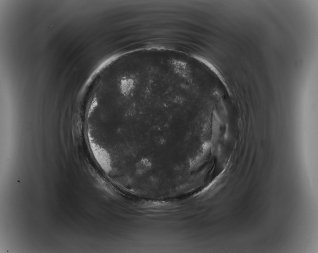 X0000086261115200704191858