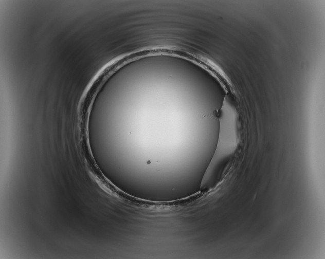 X0000086261116200704191858