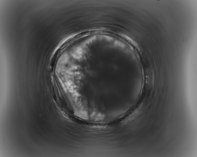 X0000086261117200704191858