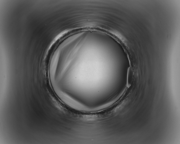 X0000086261118200704191858