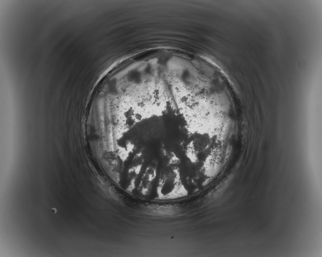 X0000086261121200704191858