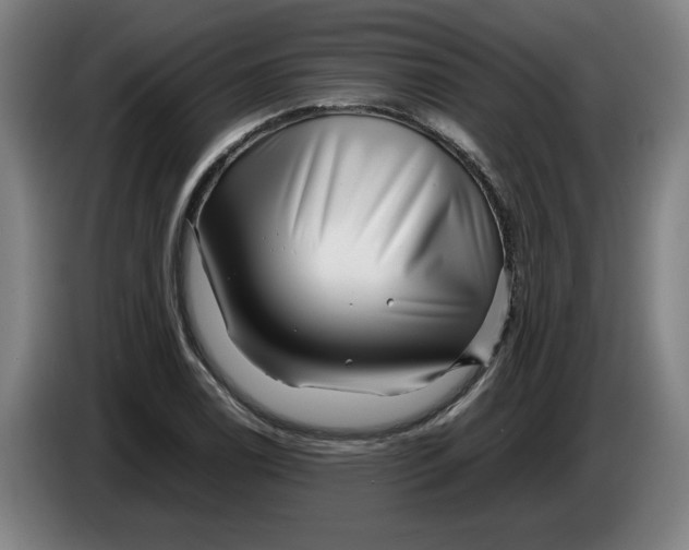 X0000086261122200704191858