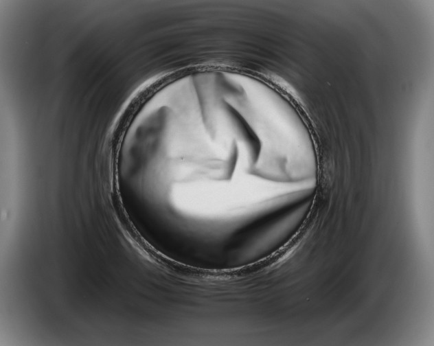 X0000086261123200704191858