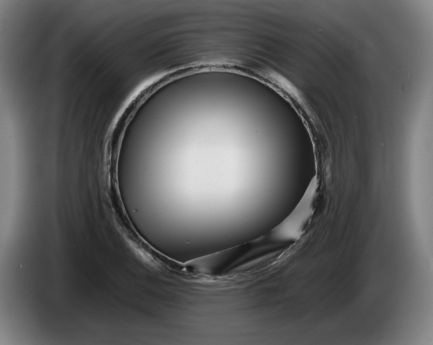 X0000086261124200704191858