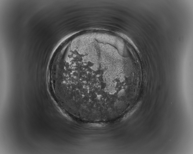X0000086261125200704191858