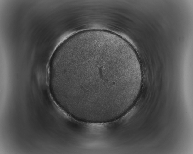 X0000086261126200704191858