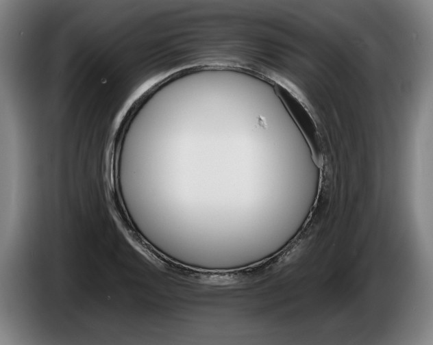 X0000086261128200704191858