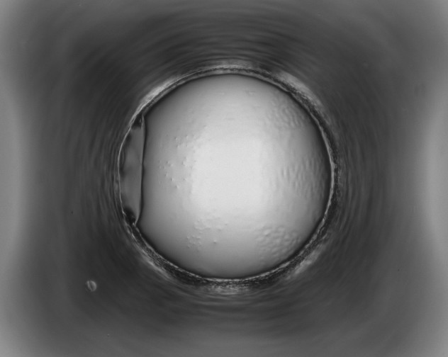X0000086261129200704191858