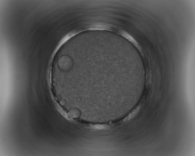 X0000086261130200704191858