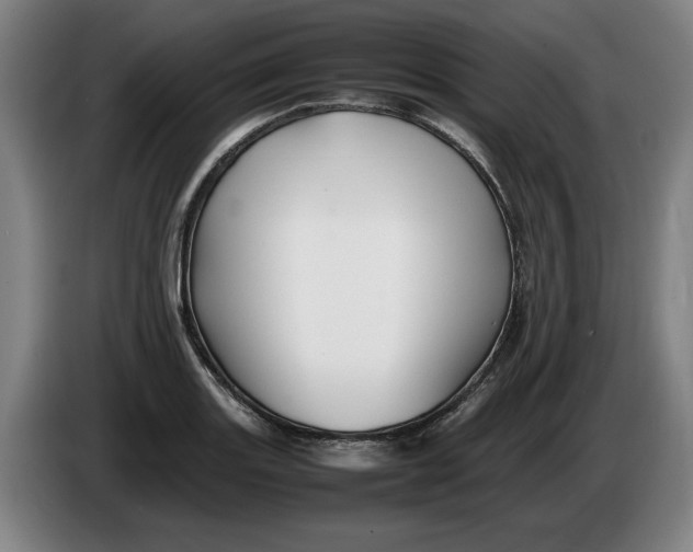 X0000086261131200704191858