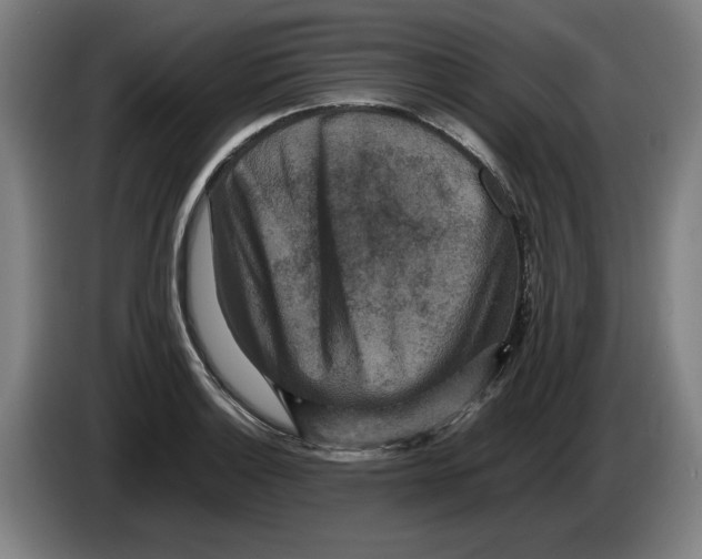 X0000086261132200704191858