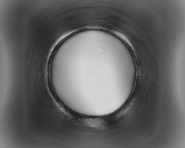 X0000086261133200704191858