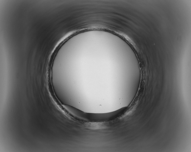 X0000086261134200704191858